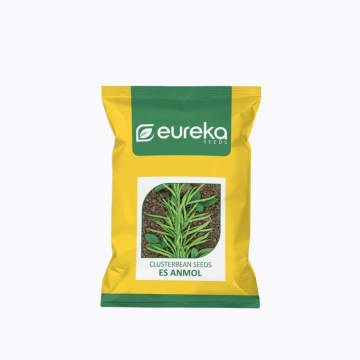 Eureka Clusterbean ES Anmol Improved Seeds